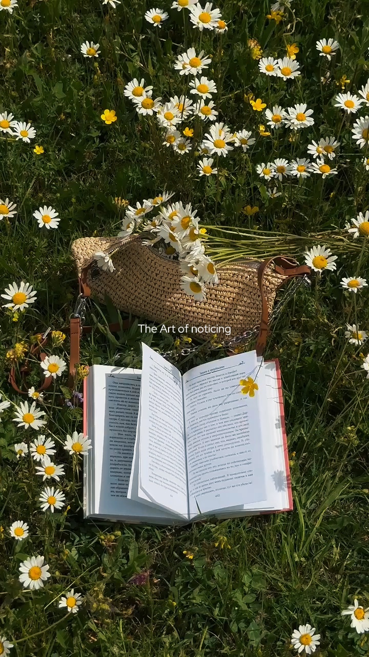 The Art of noticing