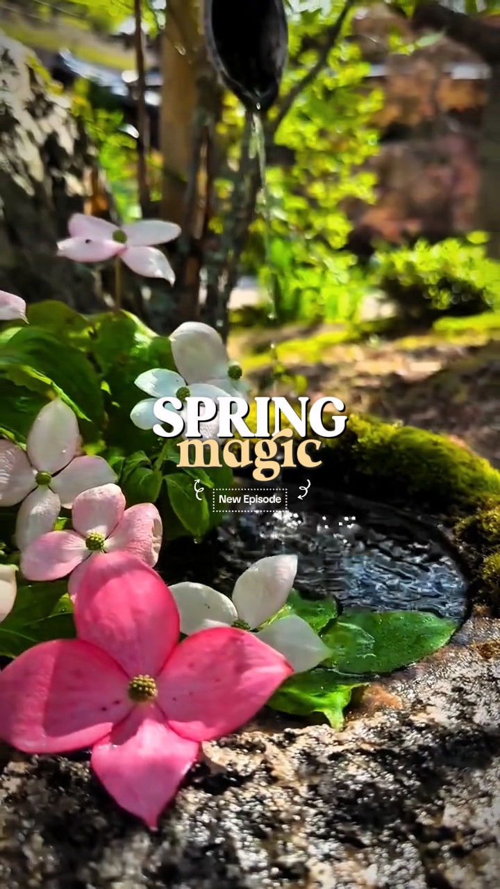 spring magic