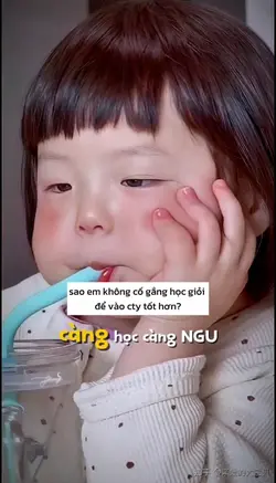 càng học càng ngu