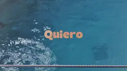Quiero Amar 
