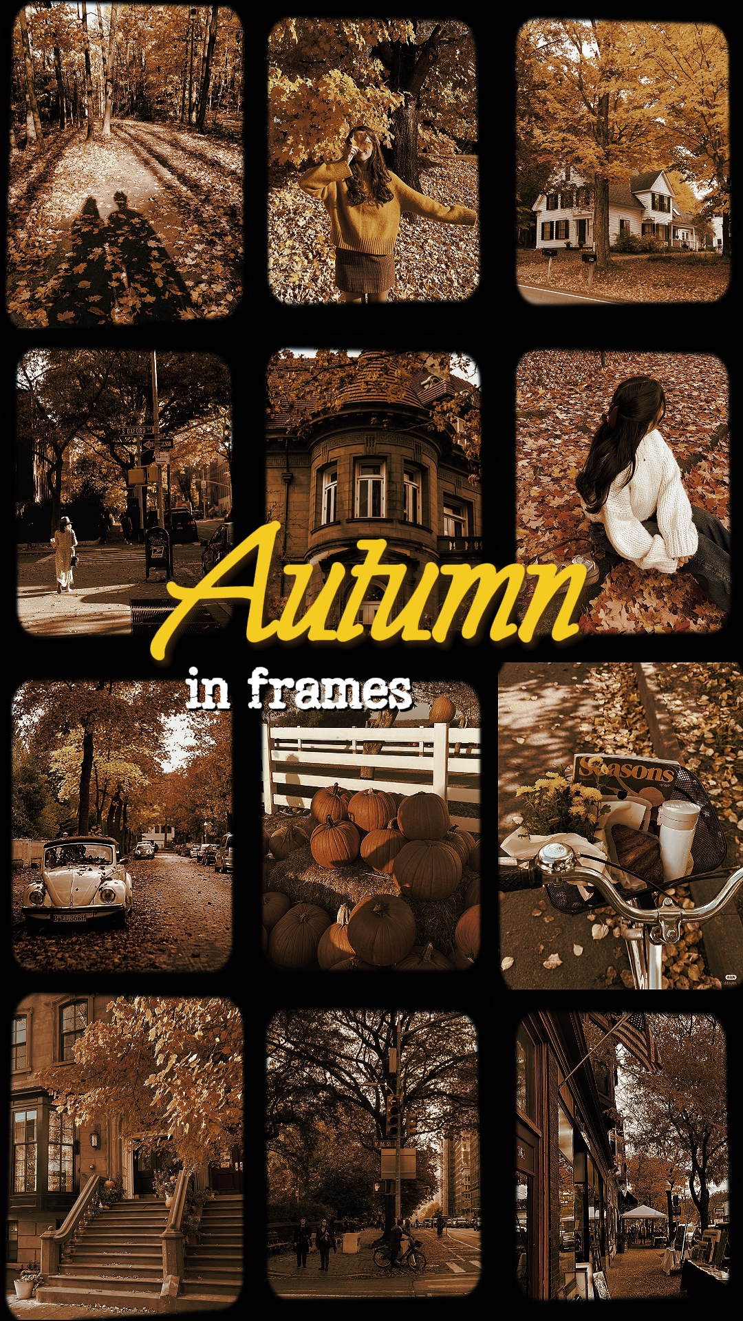 autumn in frames