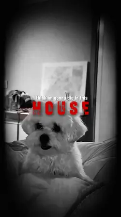 TREND IN THIS HOUSE