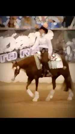 Reining >> 😍