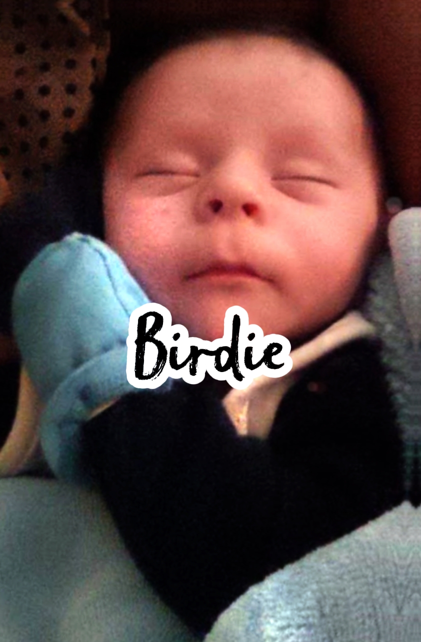 BIRDIE 