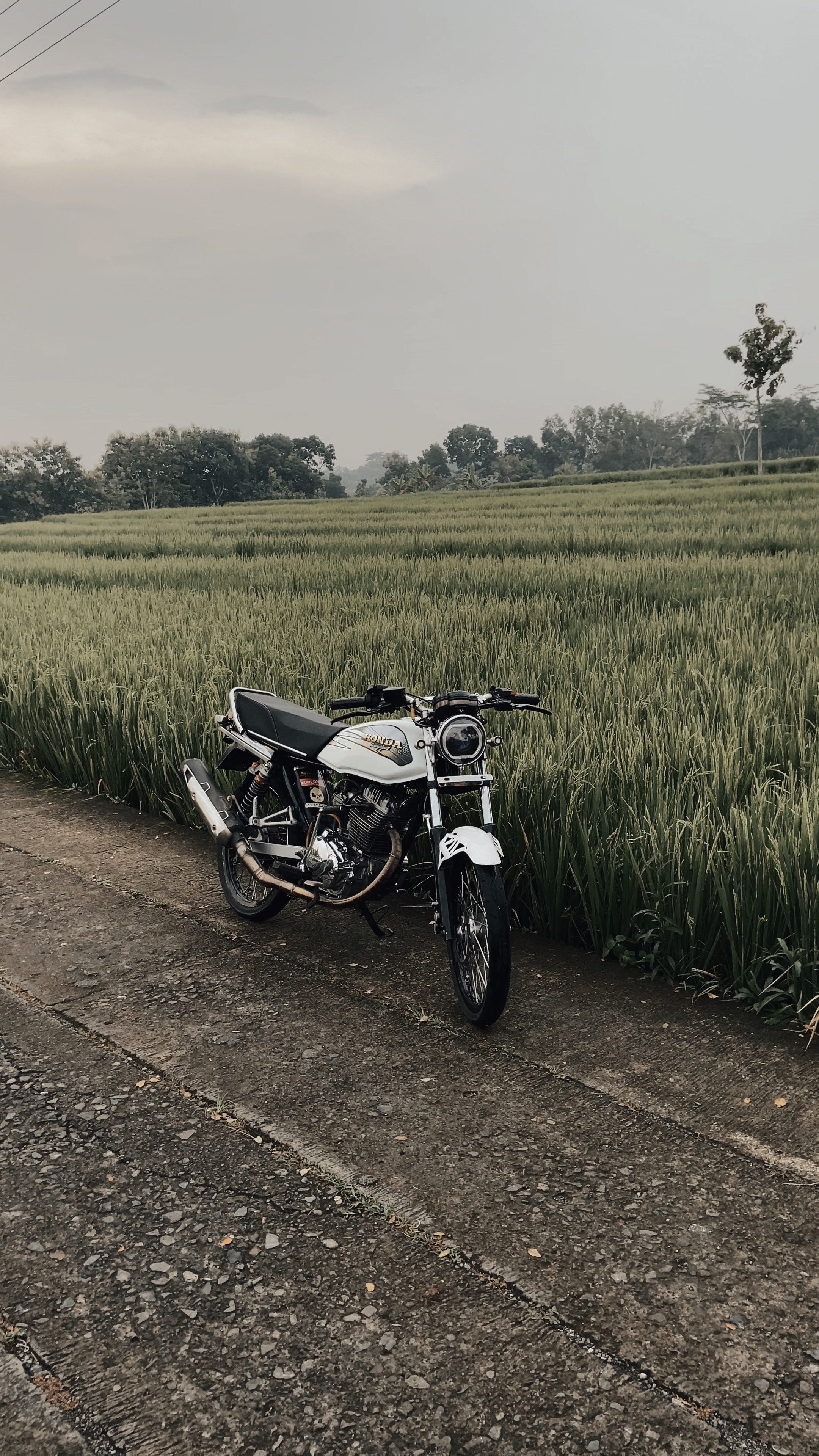 Hanya bayangan