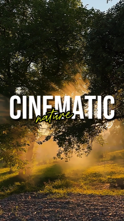 CINEMATIC NATURE