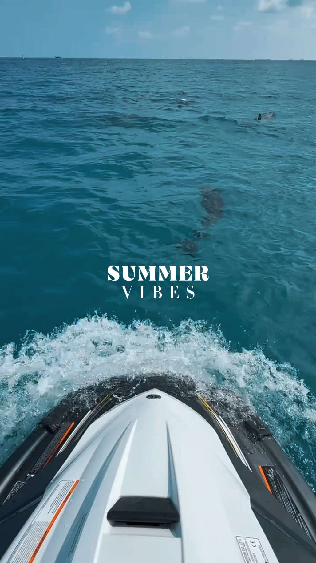Vibras de verano