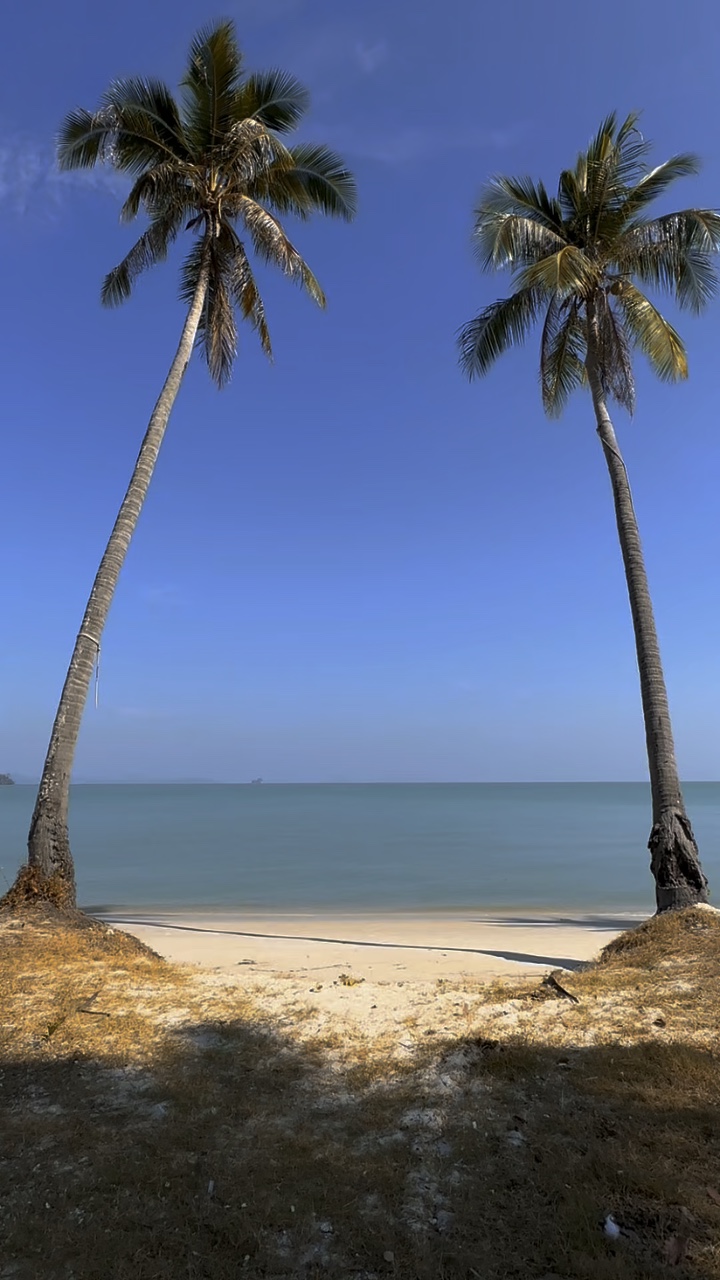 PLAGE ÉTÉ 
