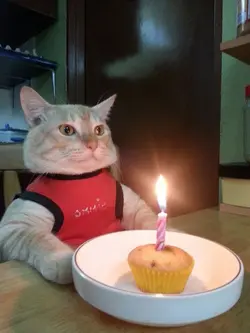 Happy birthday