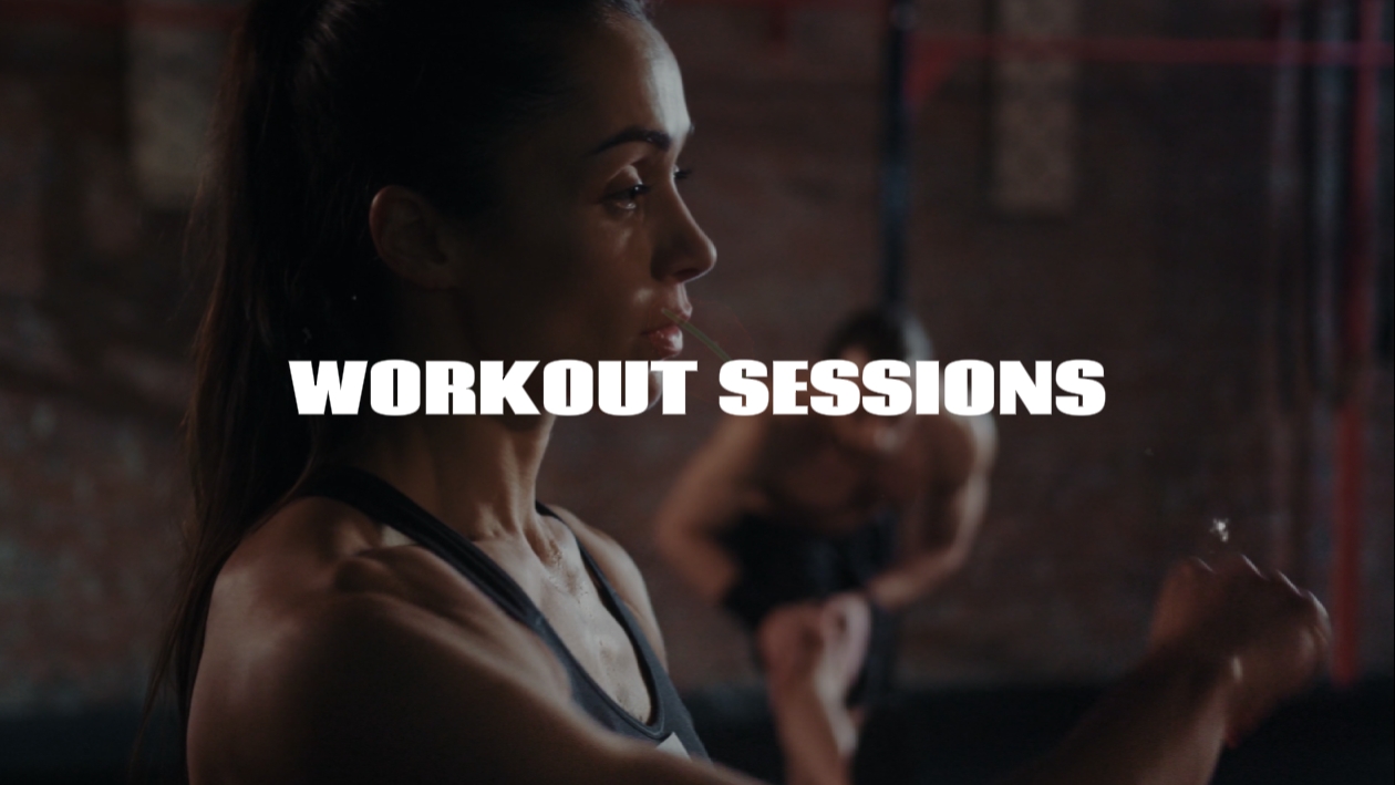 Introducción De Fitness 