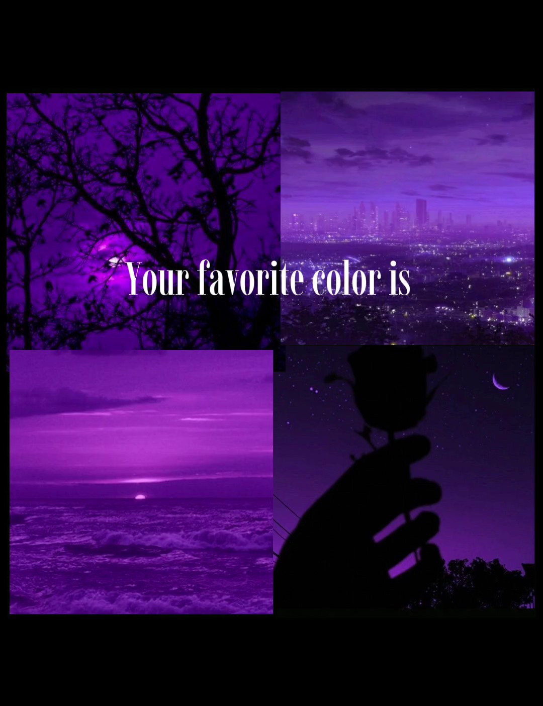 warna favorit adalah ungu?