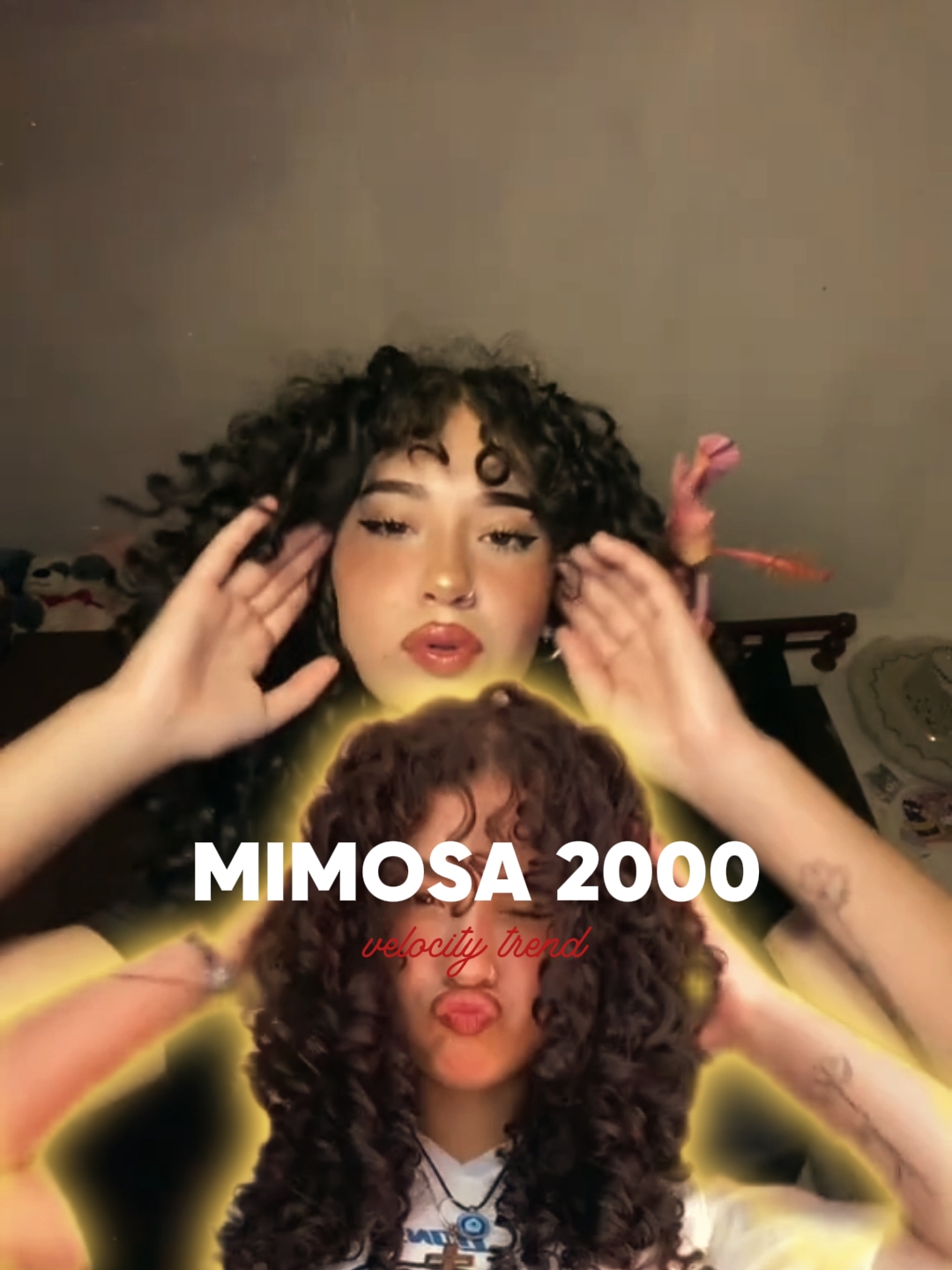 Mimose 2000