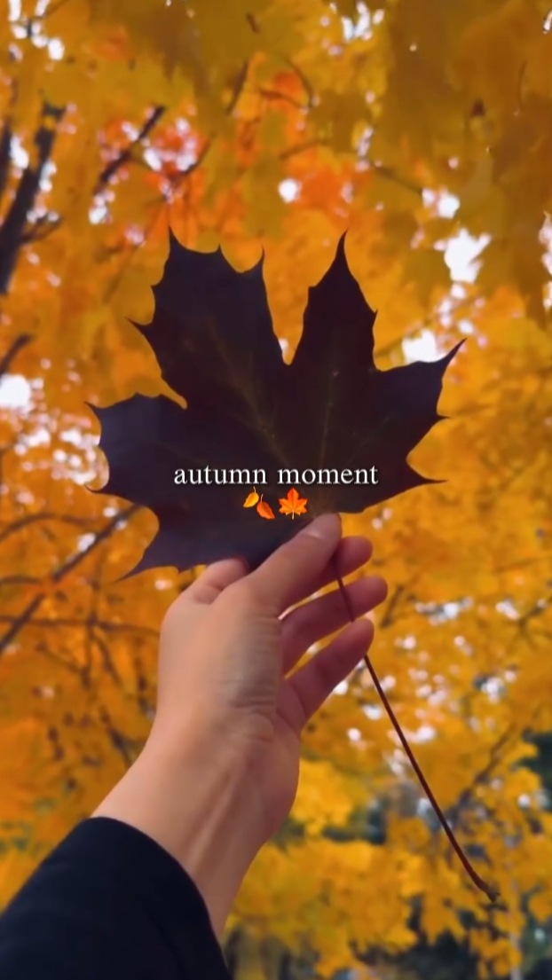 Herbstlicher Moment