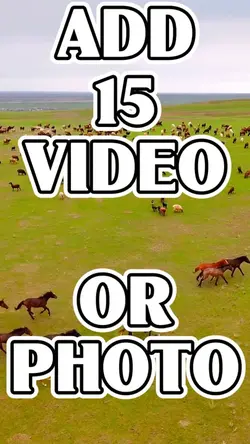 Add 15 Media Trends