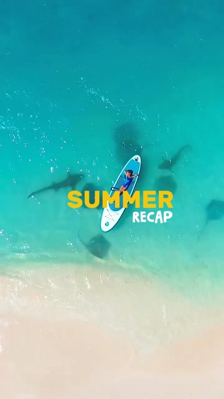 Summer 2026 recap