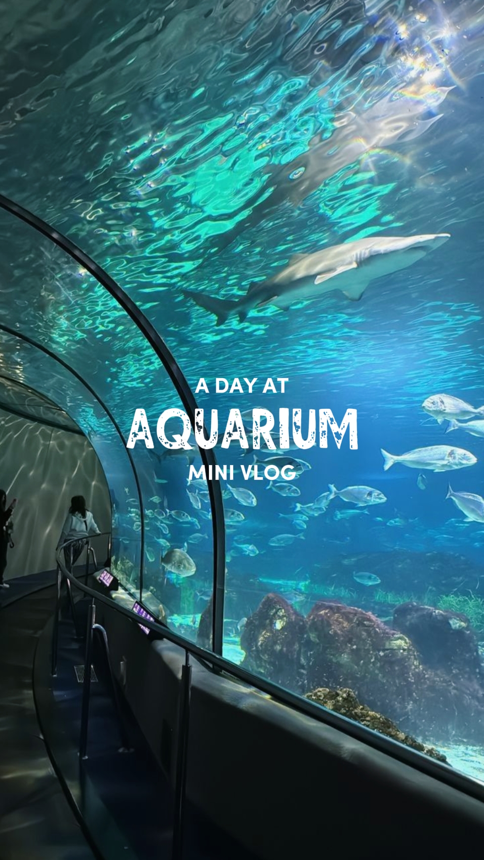 day at aquarium