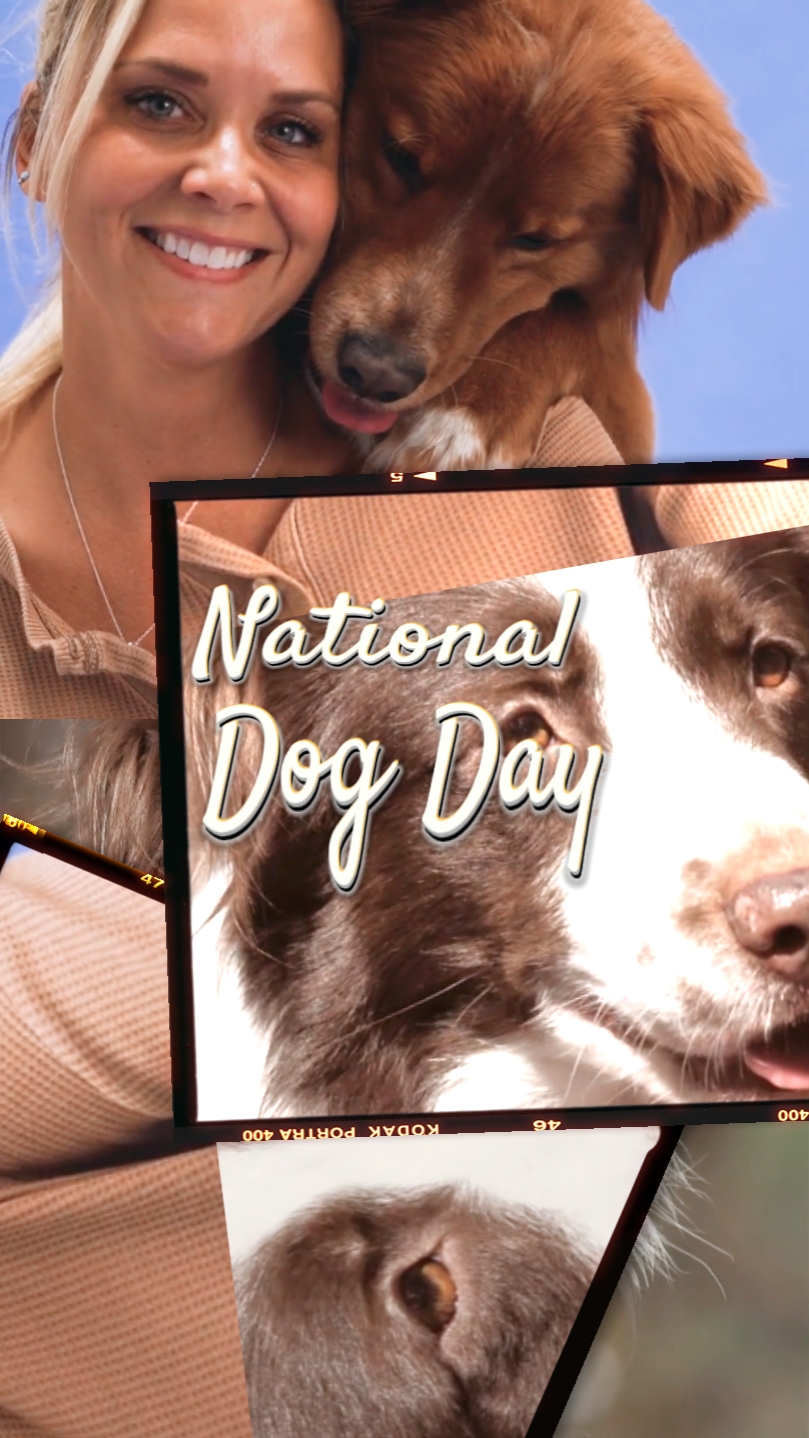 Día nacional del perro