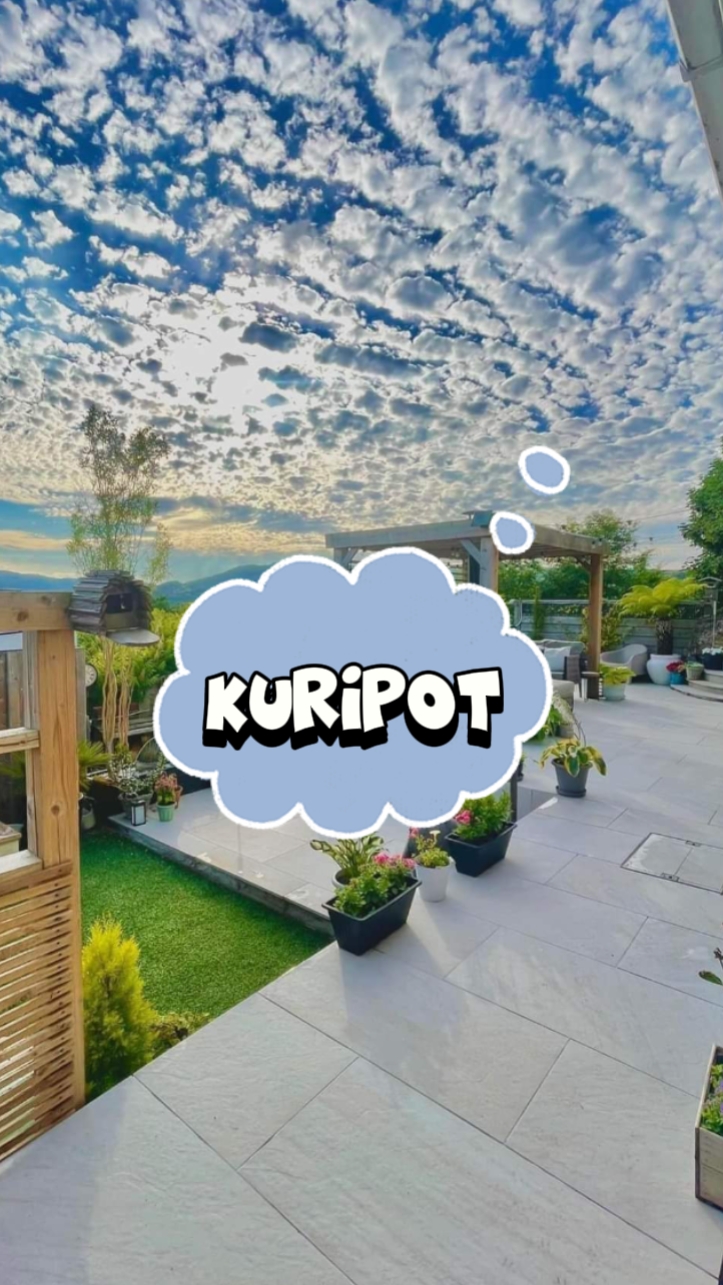 kuripot