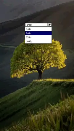 QUALITY TREND