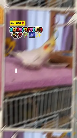 @「七夕」だから帰らない~!