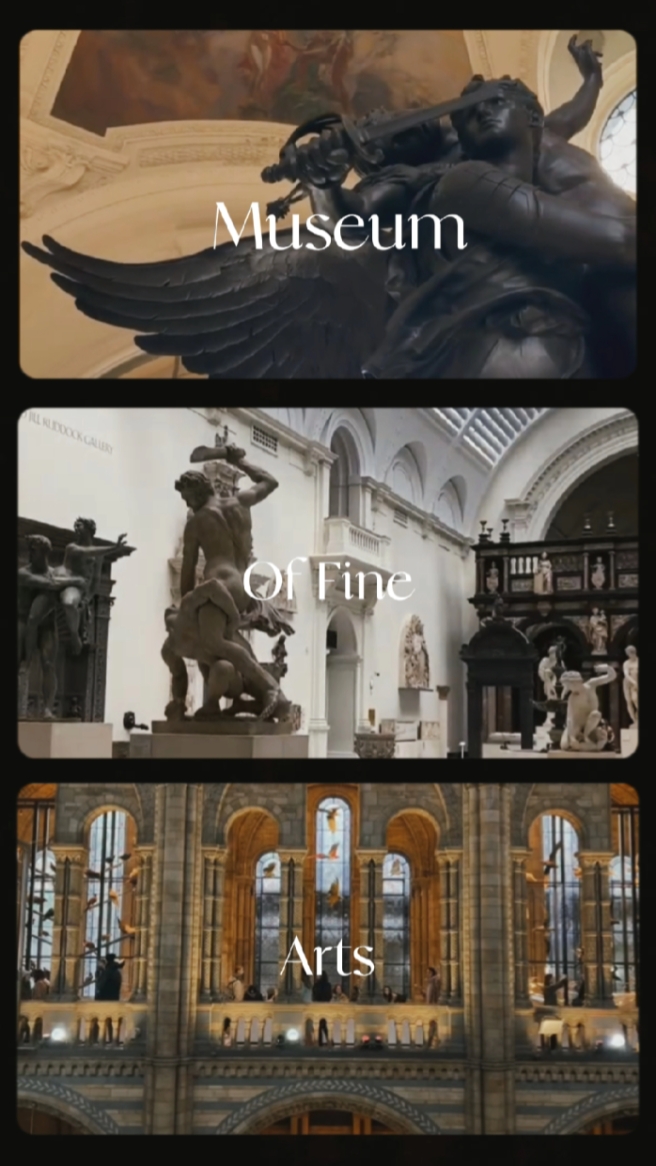Vlog del museo