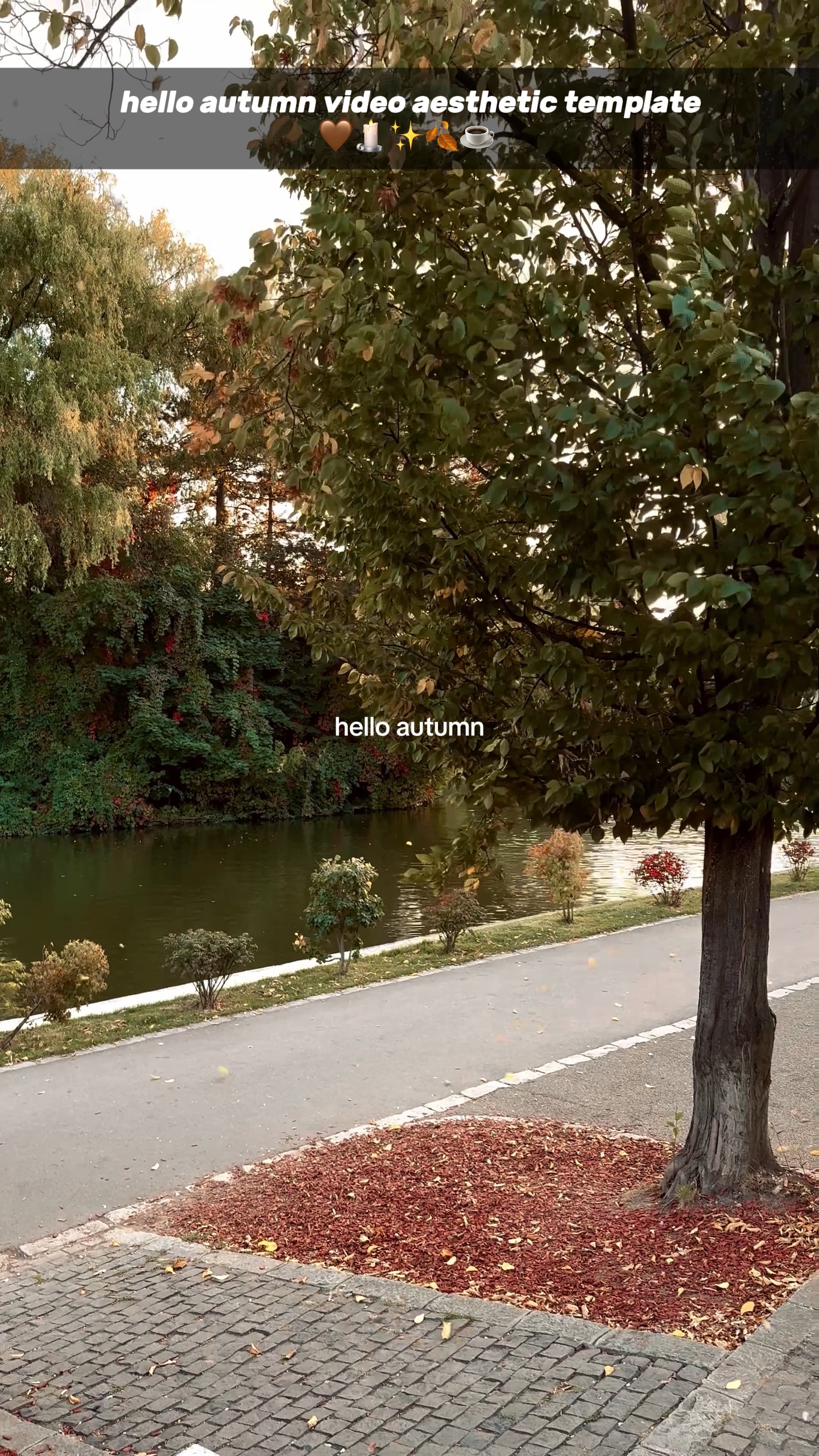 Hola otoño