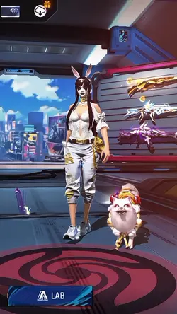 slomo ff