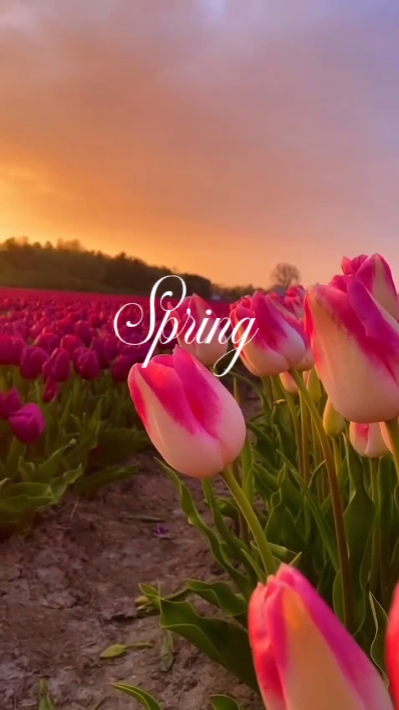 Printemps
