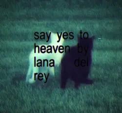 yes to heaven