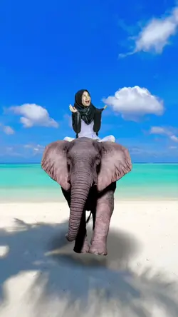 Gajah pantai ²⁸