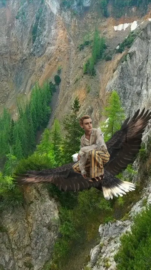 Burung Elang 