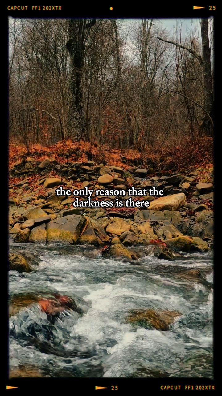 VO Quotes