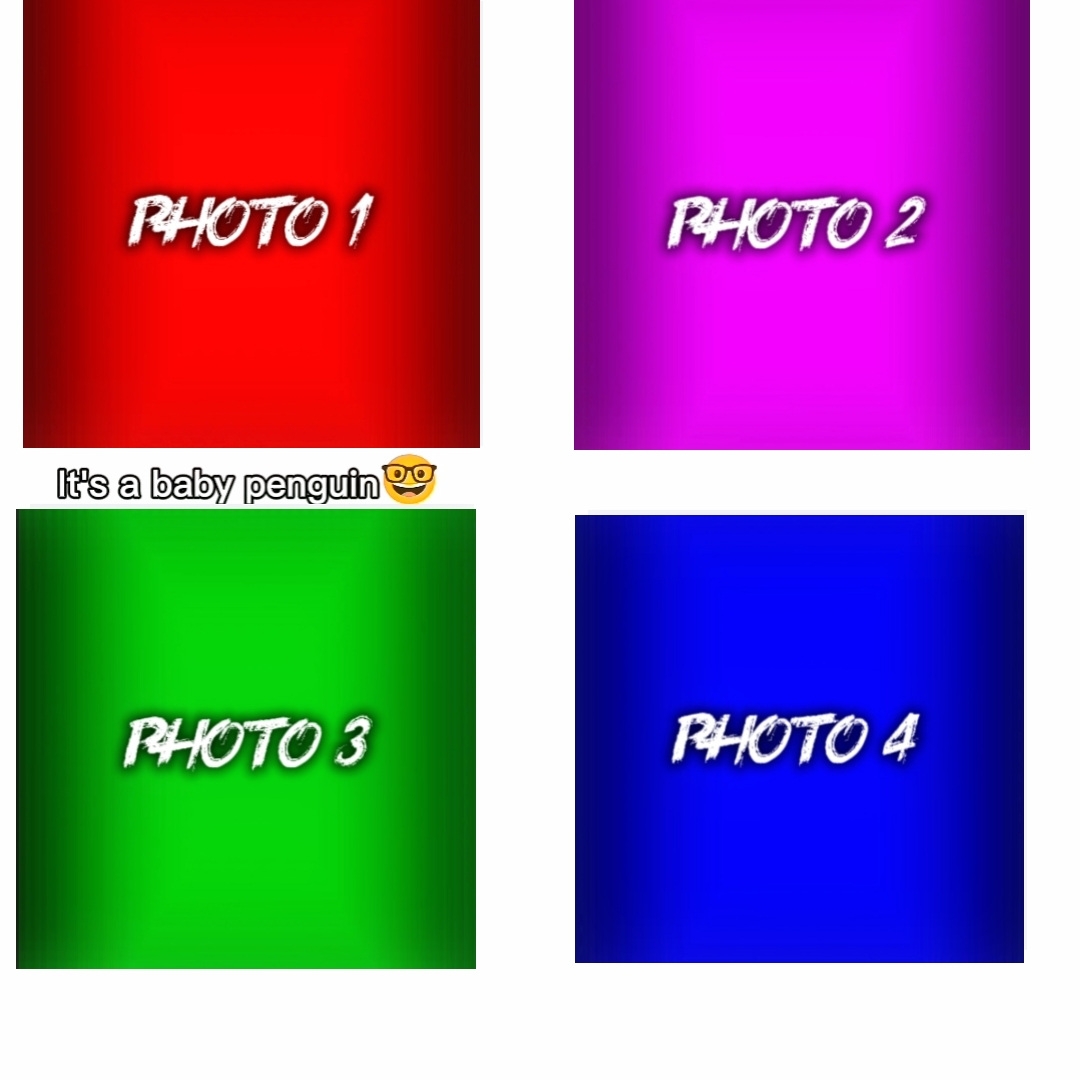 NEW EDIT MASTER