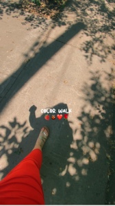 Paseo de color 🍓