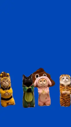 Gatos bailando 