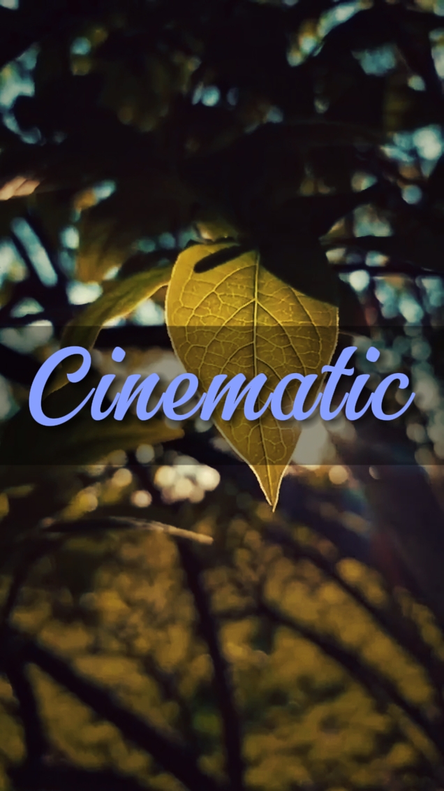 cinématique 5 vidéos 