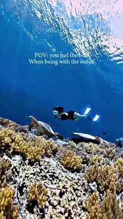 Underwater mini vlog