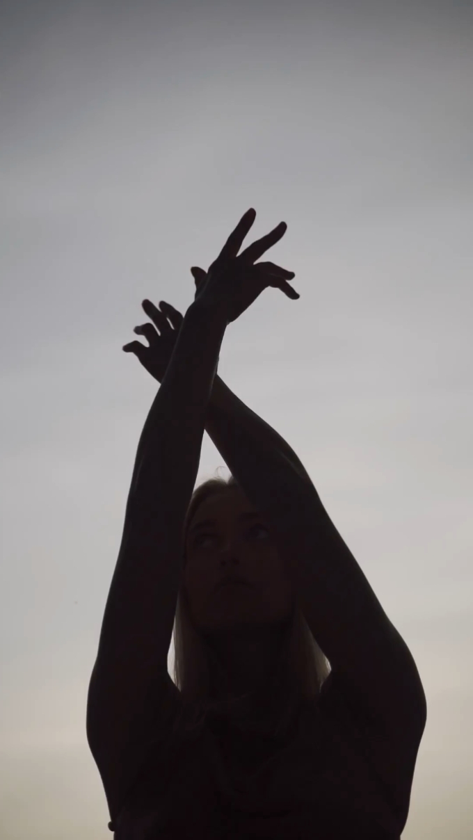 Sunset Silhouette