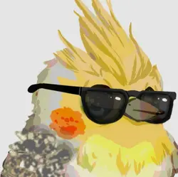 biggest bird