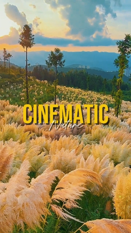 CINEMATIC NATURE