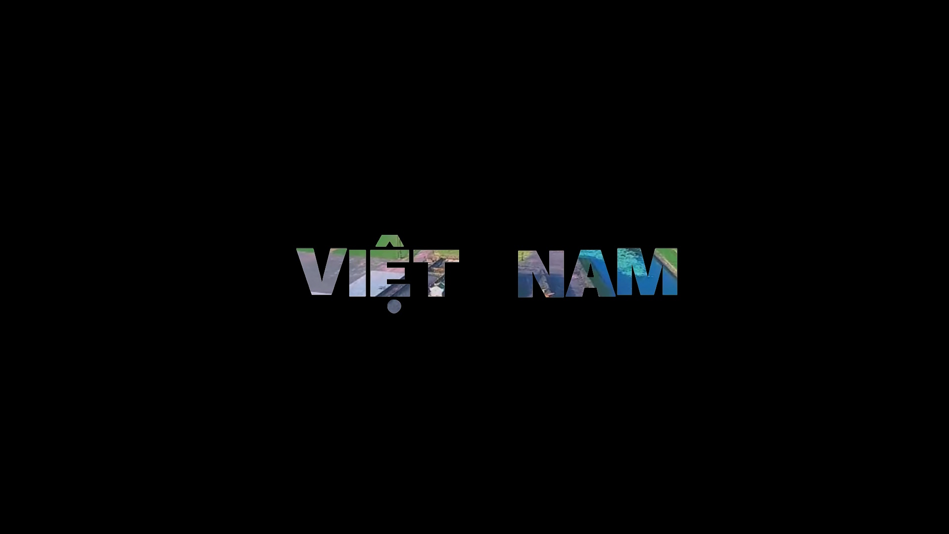 HALO VIT NAM