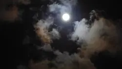 Beautyfull tune 