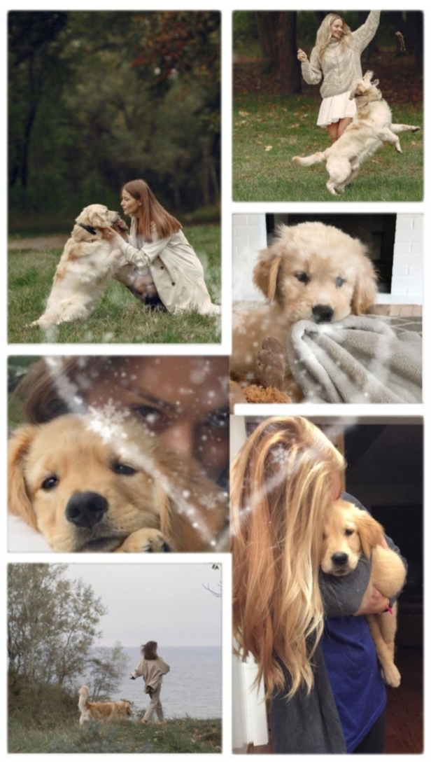 Dog Friend