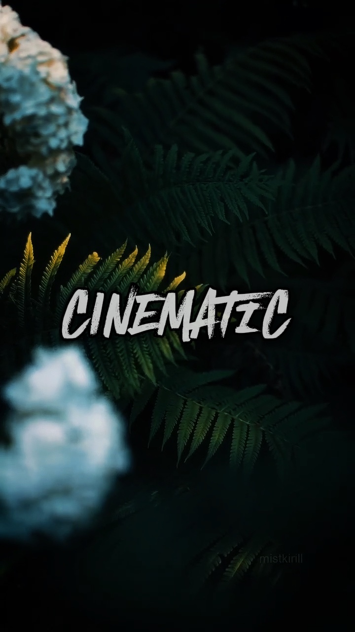 Cinematic Nature 