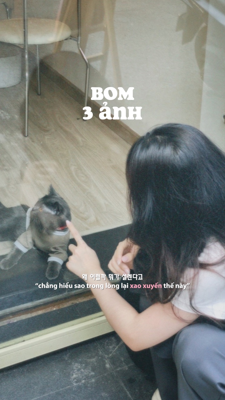 [3] Bom 3 ảnh cute