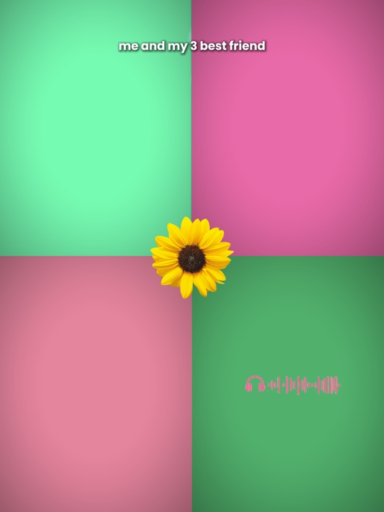 4 pics