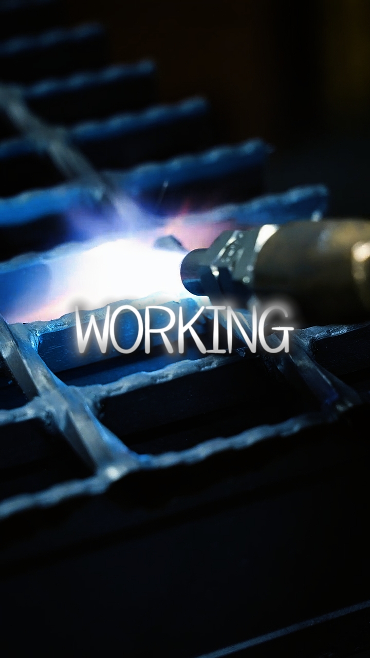 WORKING DAY