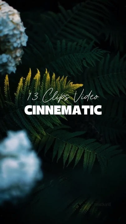 13 Videos Cinematic 