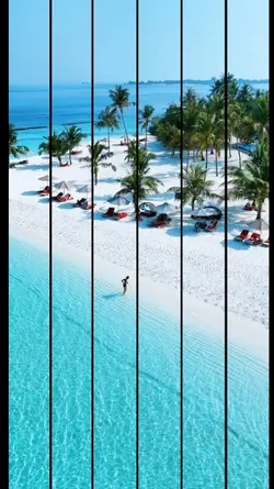 TRAVEL SUMMER