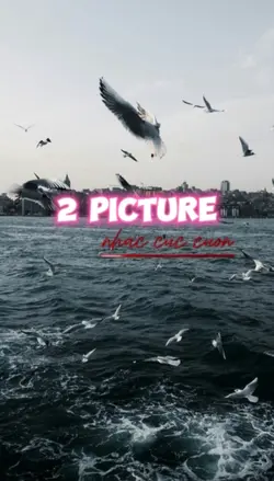 2 Ảnh Cuốn